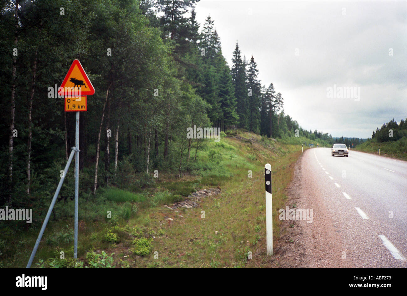 Juni 1987 Schweden Verkehrszeichen Warnung von Rentieren Stockfoto