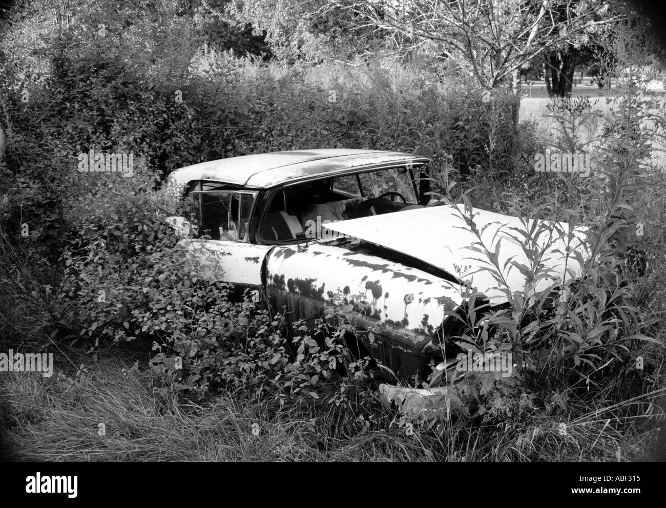 1956 Ford Sunliner Oldtimer aufgegeben am Straßenrand in schwarzen und weißen Amerikaner uns Usa Junk-e-Schrott Müll aufgegeben Auto am Stockfoto