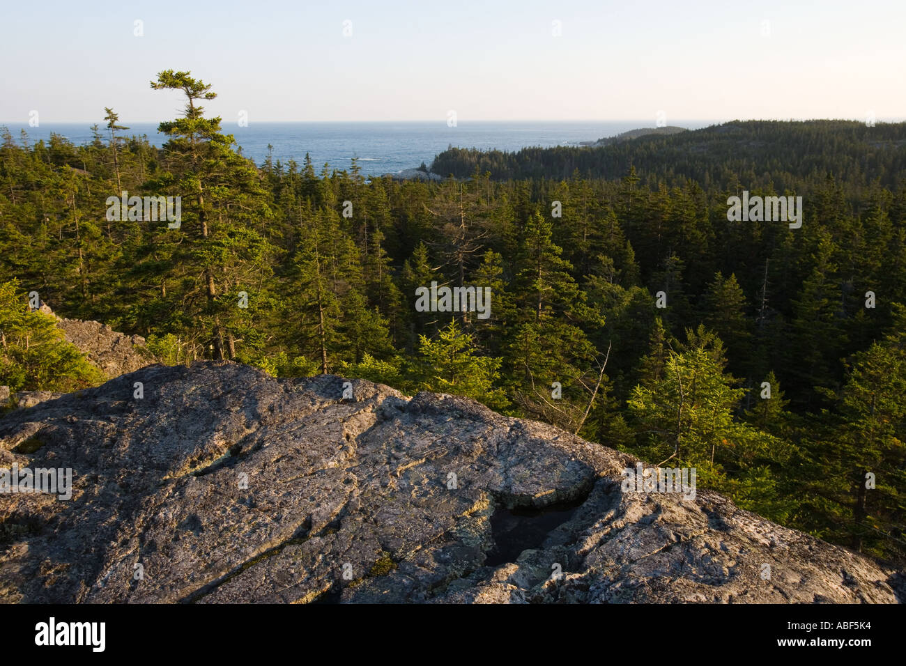 Die Aussicht vom Ente Hafen Berg auf Isle Au Haut in Maine s Acadia Nationalpark Stockfoto