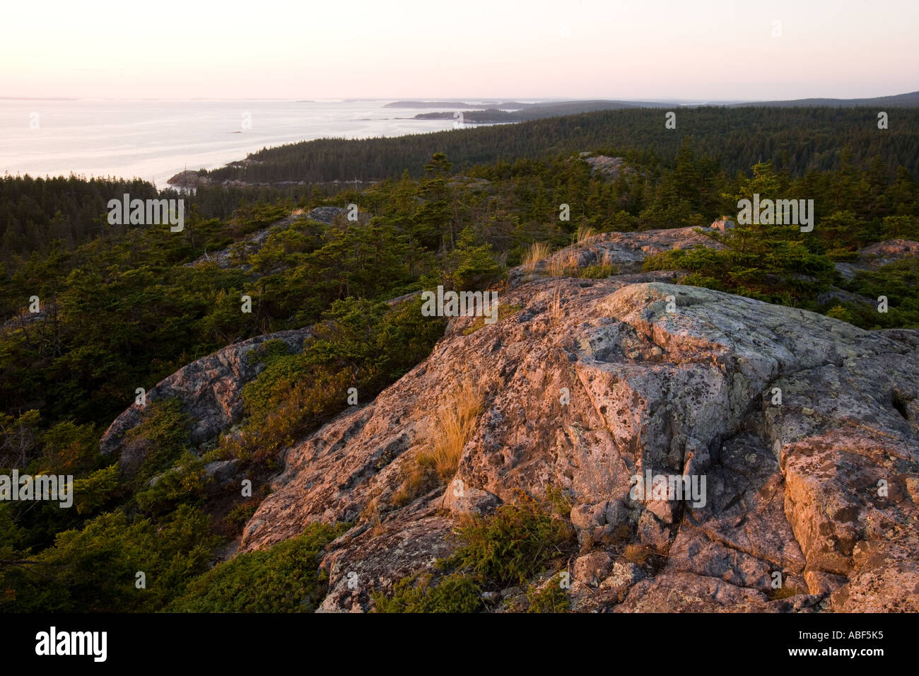 Die Aussicht vom Ente Hafen Berg auf Isle Au Haut in Maine s Acadia Nationalpark Stockfoto