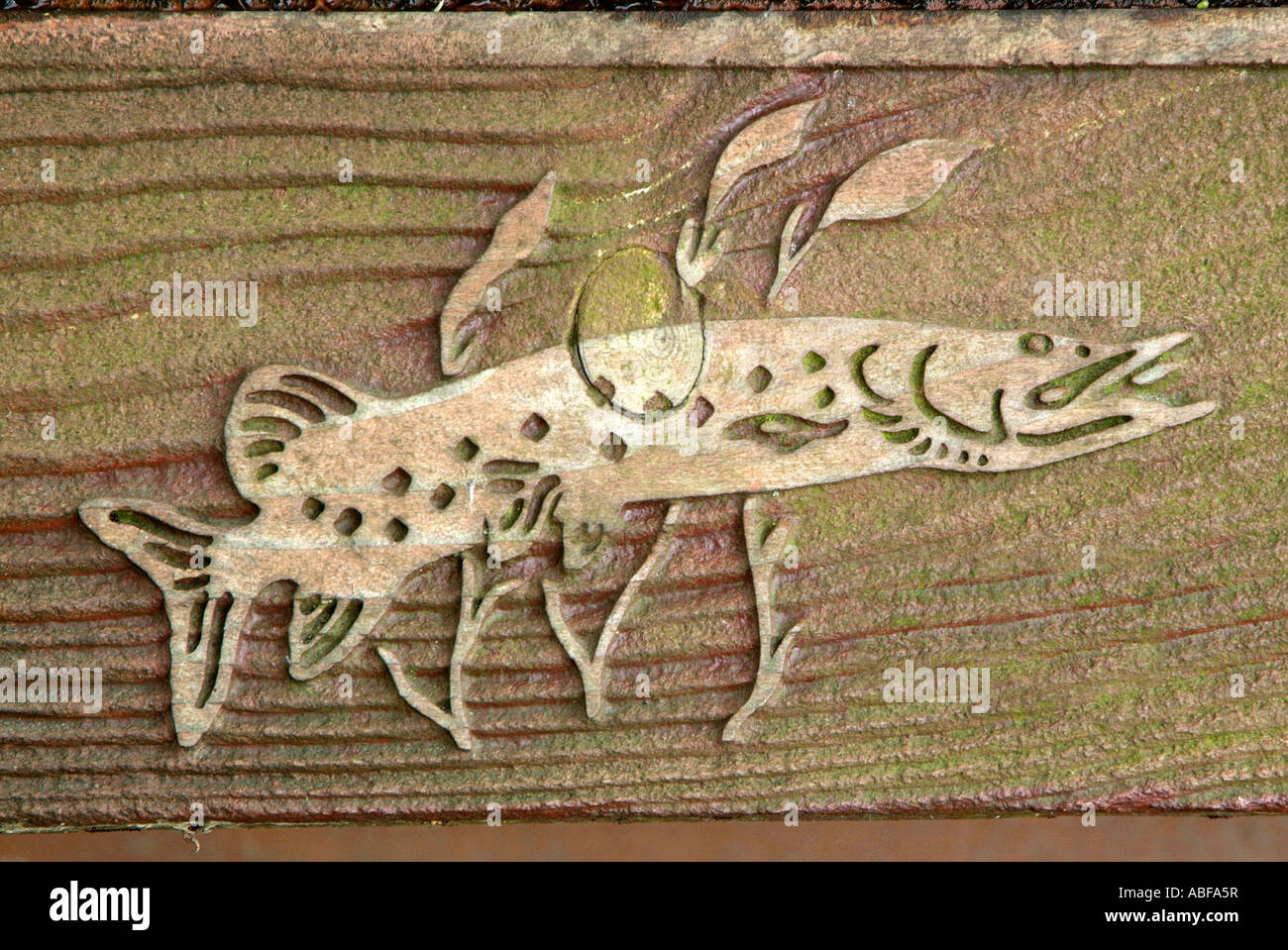 Hecht Süßwasser Fisch Holzmaserung schnitzen Symbol Braun Natur natürliche Hochrelief Zeichen Stockfoto