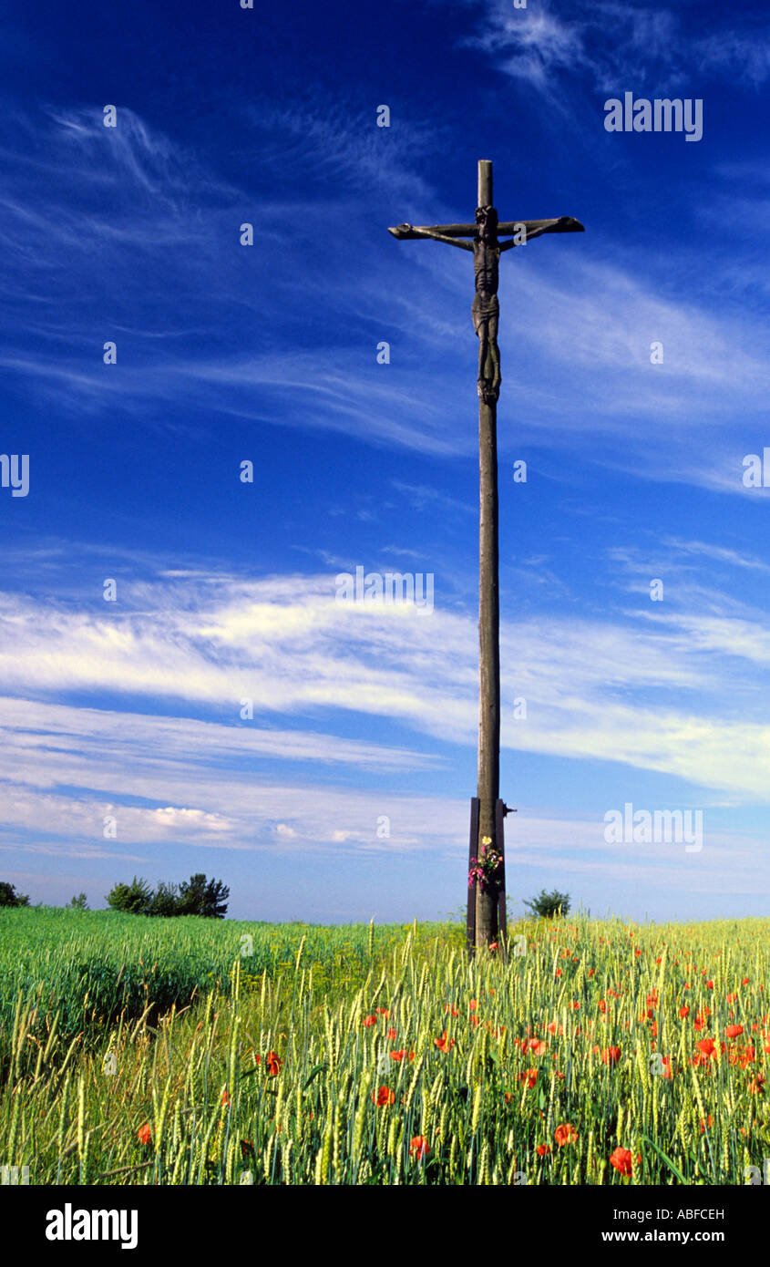Das Feld Kreuz - roztocze (Ost Polen) Stockfoto