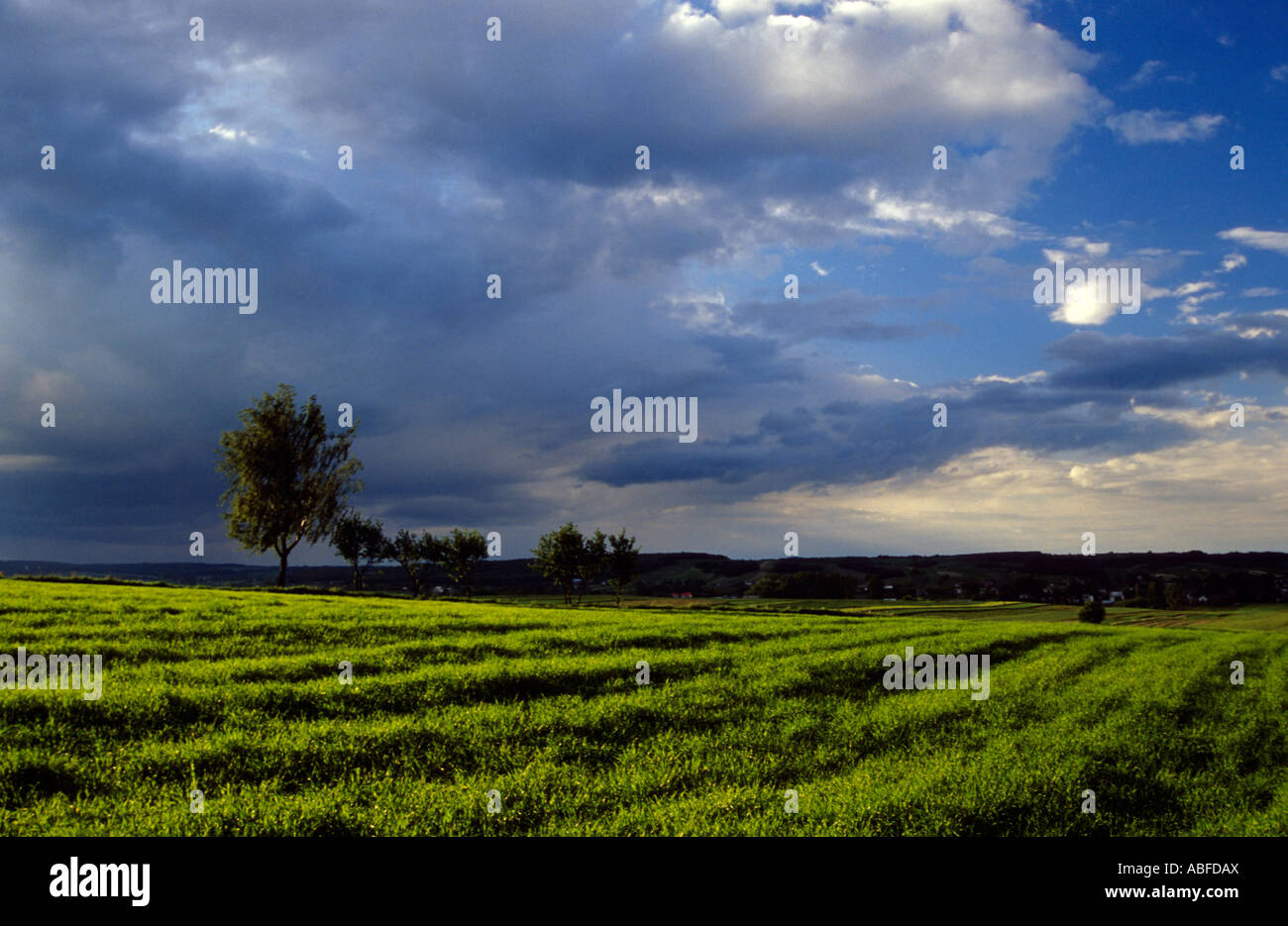 Polen Landschaft Stockfoto