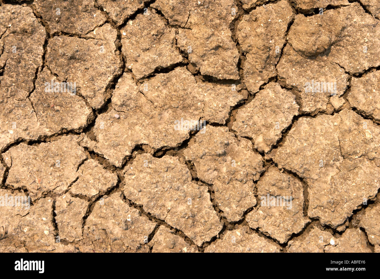 Dürre trockene rissige verbrannte Erde Stockfoto