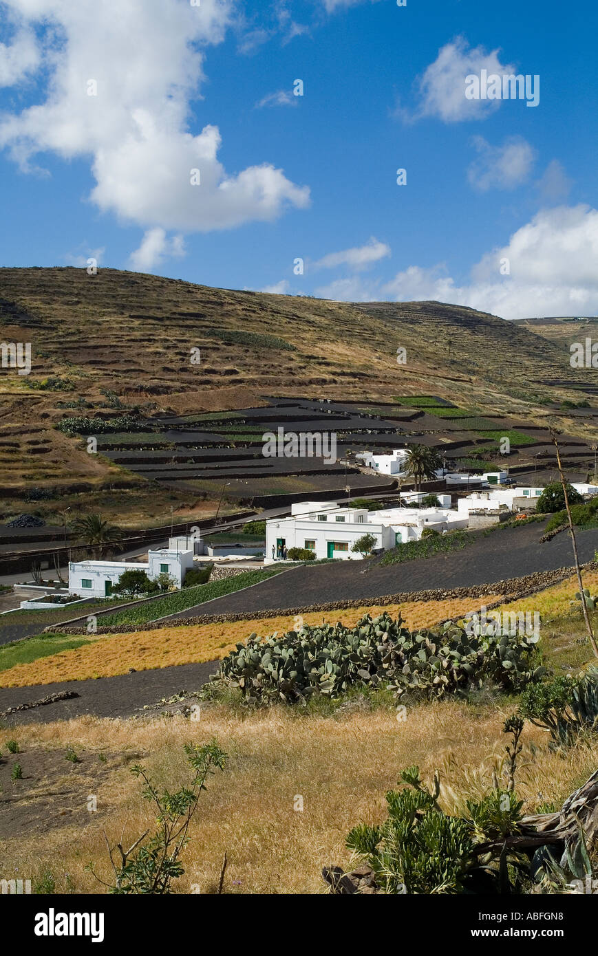 dh Farm LOS VALLES LANZAROTE weiße Mauern umgebene Haus Dorf mit terrassenförmig angelegten Feldern Stockfoto