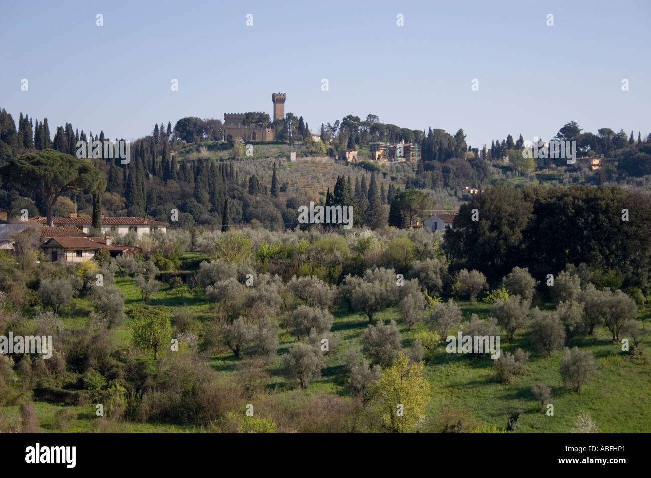 Blick über Felder der Olivenbäume auf die Boboli-Gärten über Florenz, Toskana, Italien, Europa. Stockfoto