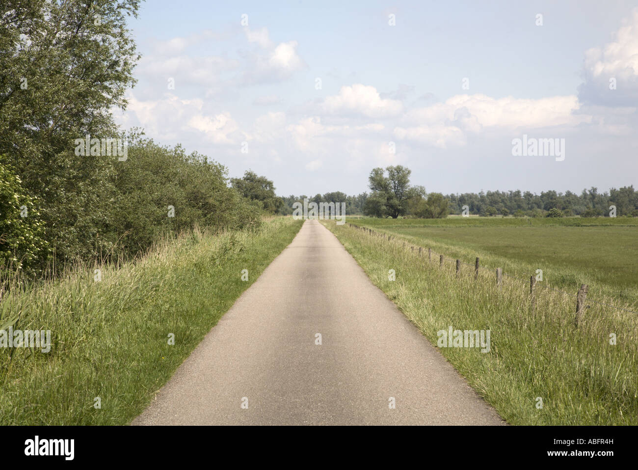 Kleine Teerstraße auf Deich erstreckt sich der Horizont, Biesbosch Nationalpark, Holland Stockfoto