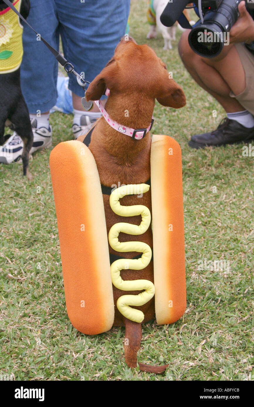 Hot Dog Kostm Hund
