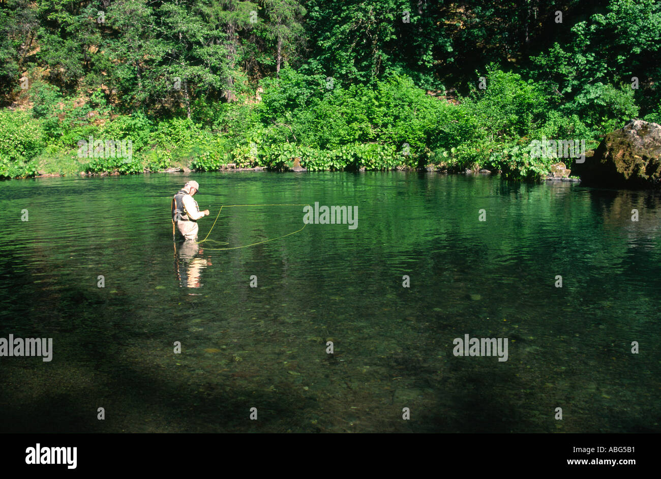 Fliegenfischen McCloud River in Nord-Kalifornien Stockfoto