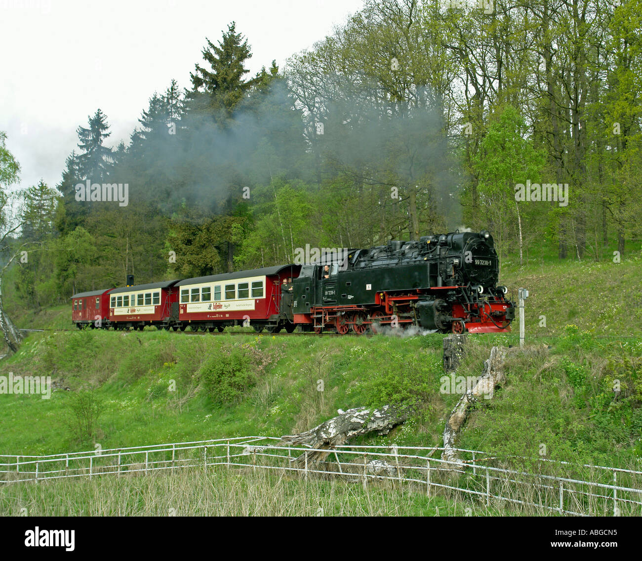 Dampfzug von der Harzer Schmalspurbahnen in Richtung Harzgerode aus im Großraum Harz Mountains Stockfoto