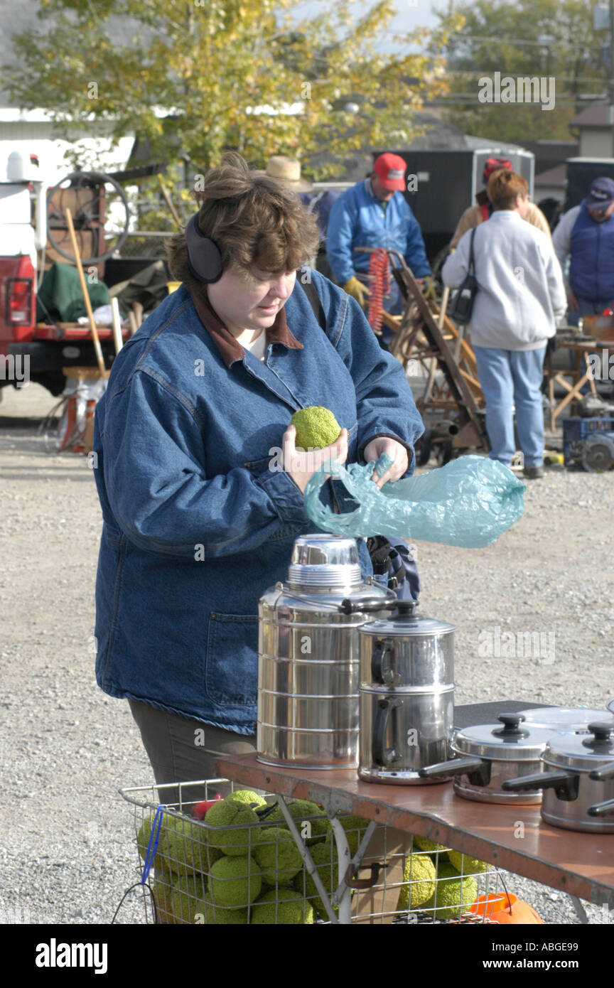 Artikel zum Verkauf auf Flohmarkt im mittleren Teil der USA an einem kalten Tag Stockfoto