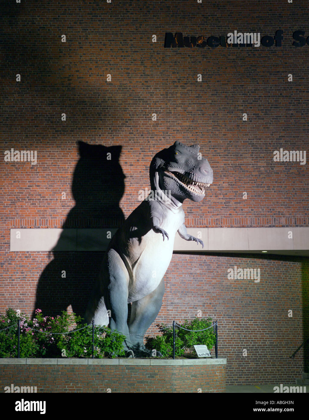 Dinosaurier, Museum der Wissenschaft, Boston, Massachusetts, USA Stockfoto