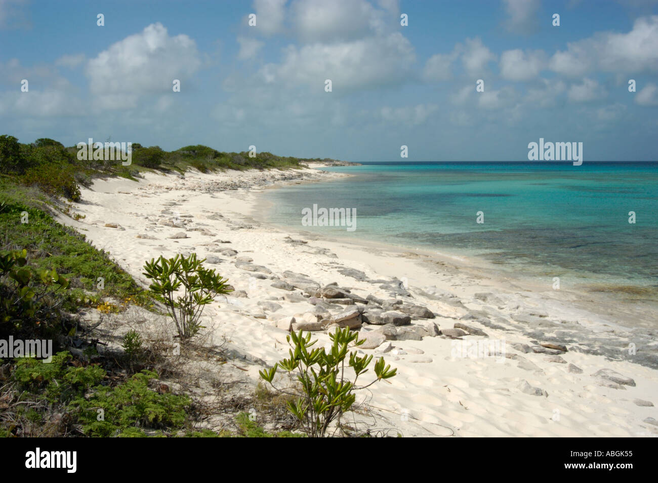 Northwest Point Marine National Park Providenciales Insel Turks And Caicos Islands British West Indies Caribbean Stockfoto