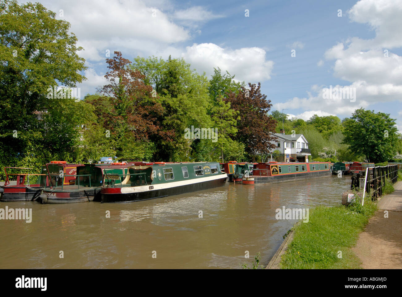 Hausboote auf dem Fluss Wey in Guildford Stockfoto