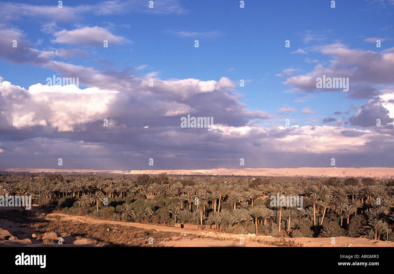 Ägypten, in der Nähe von Kairo, Sakkara Oase Stockfoto