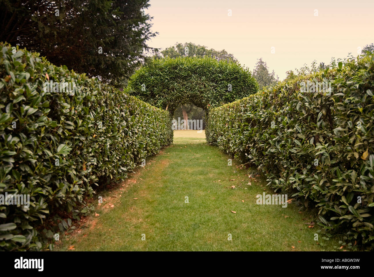 Avenue an der Larmer Baum Gärten, in der Nähe von Salisbury, Wiltshire, UK Stockfoto