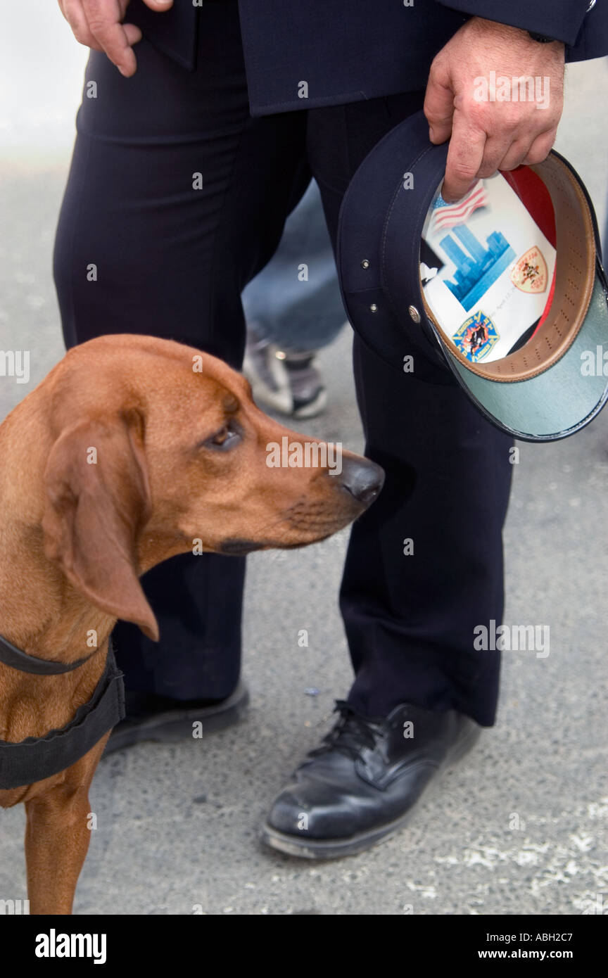 Ein New York City Polizeihund auf der Hut vor ein Polizist hält seinen Hut mit einer 9 11 Memorial Karte sichtbar Stockfoto