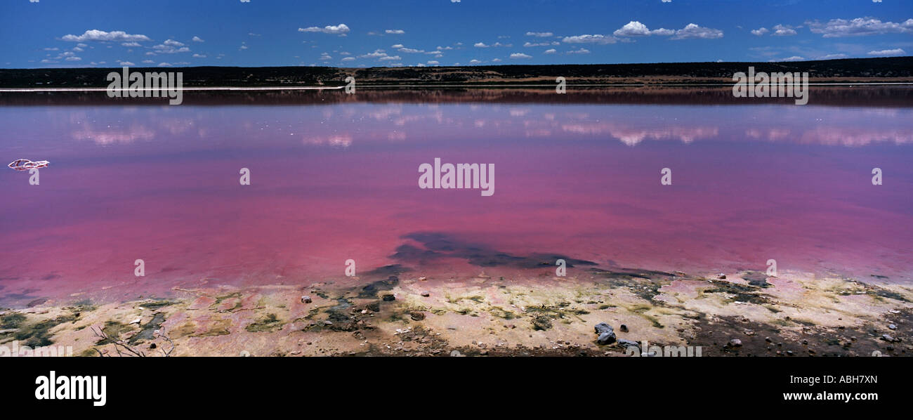 Hutt-Lagune am Port Gregory in der Nähe von Kalbarri genannt auch Pink Lake Western Australien Panorama Stockfoto