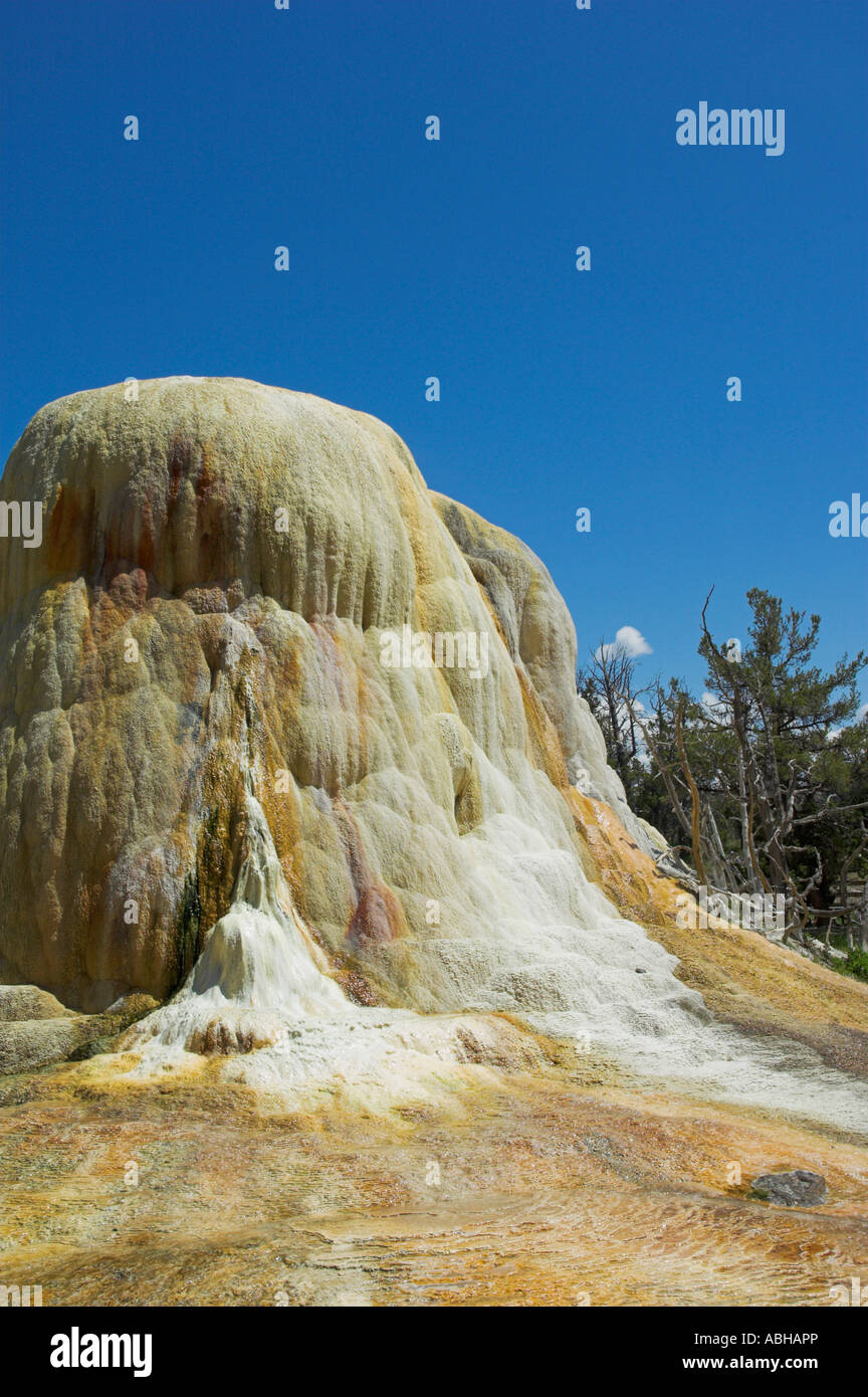 Orange Frühling Hügel Mammoth hot Springs Yellowstone National Park Wyoming USA Vereinigte Staaten von Amerika Stockfoto