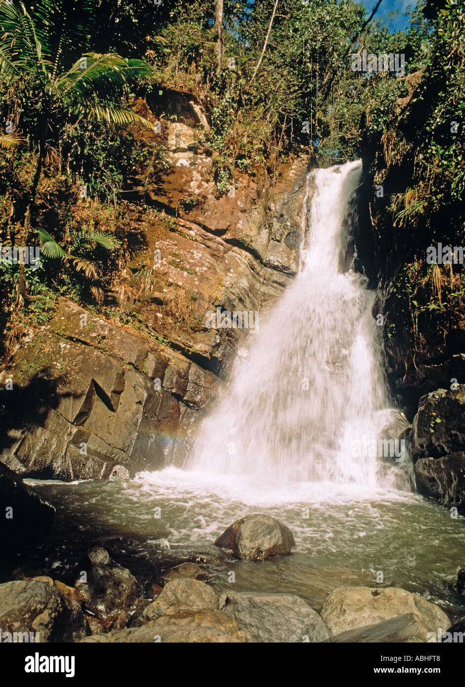 La Mina Wasserfall in El Yunque Nationalpark Puerto Rico Stockfoto