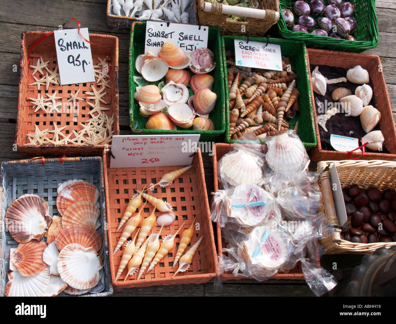 Körbe von exotischen Muscheln und Meerestieren zu verkaufen auf Llandudno pier Stockfoto