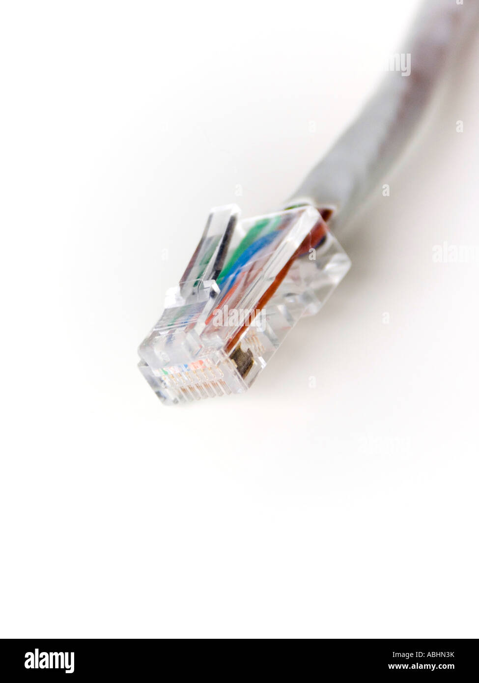 PC rj 45 Ethernet Stecker Internetkabel hautnah auf einem weißen Hintergrund Stockfoto