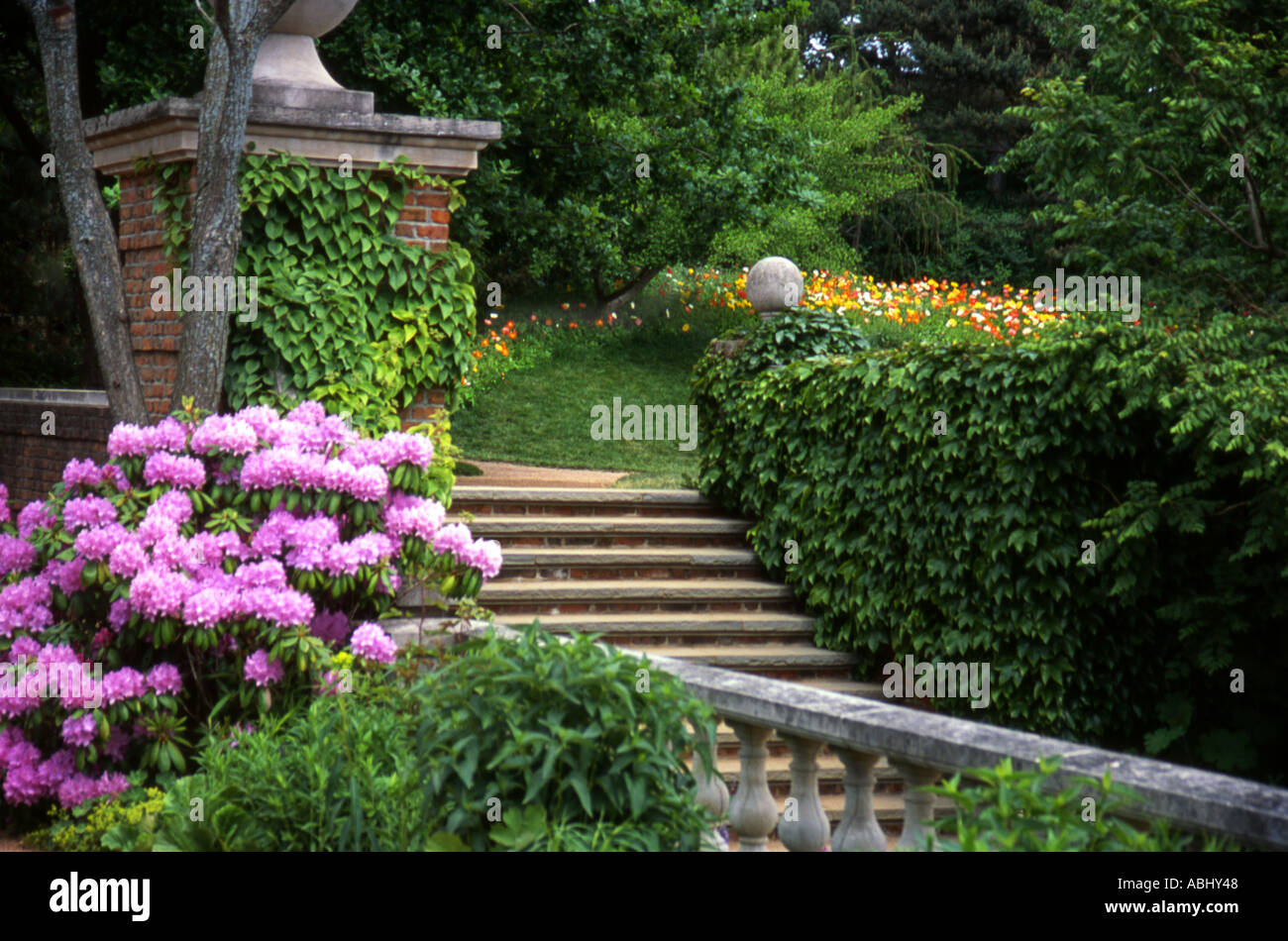 Englischen Garten Weg und Schritte Stockfoto