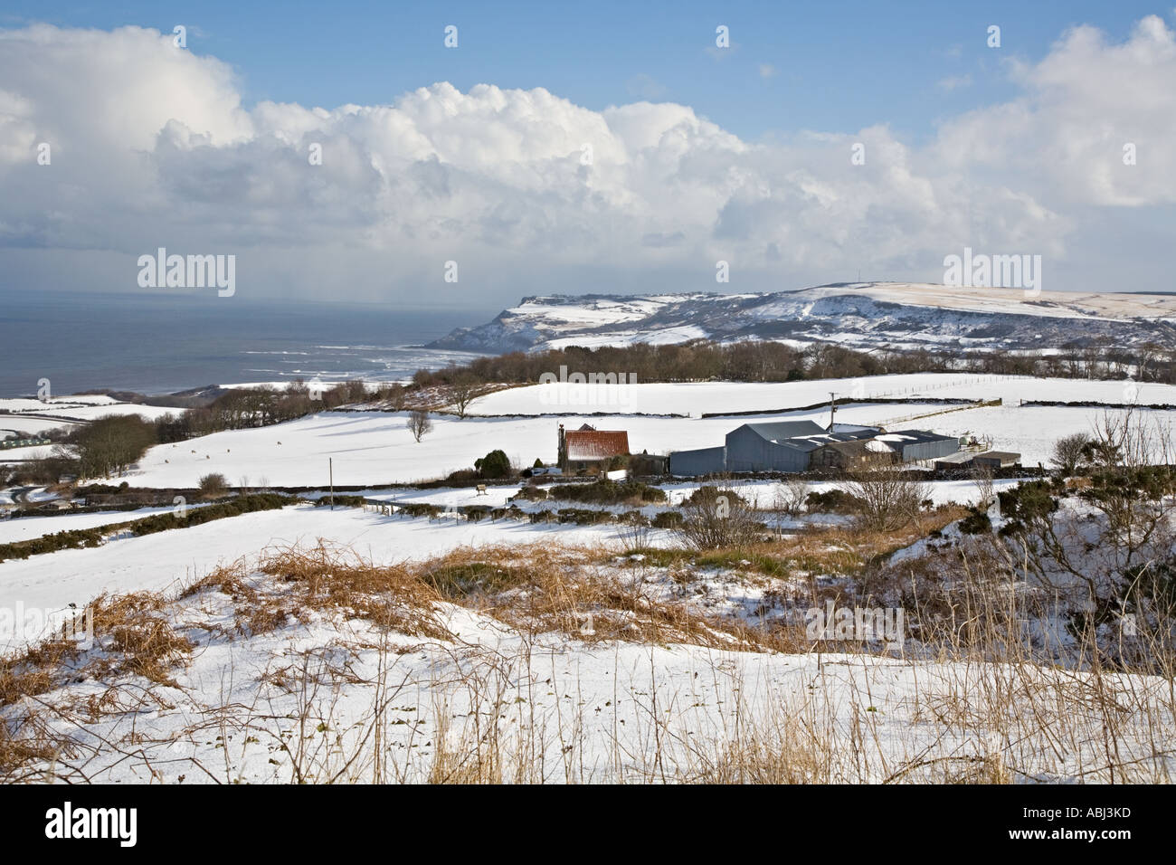 Blick in Richtung Ravenscar Yorkshire im Winter Königreich Stockfoto