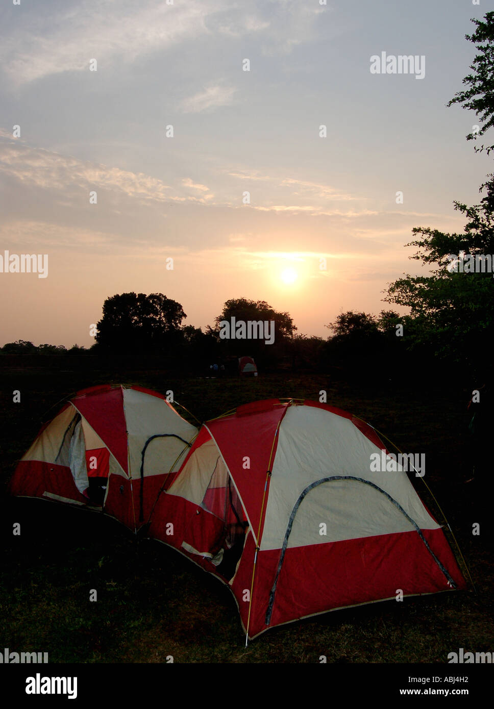 Camping Stockfoto