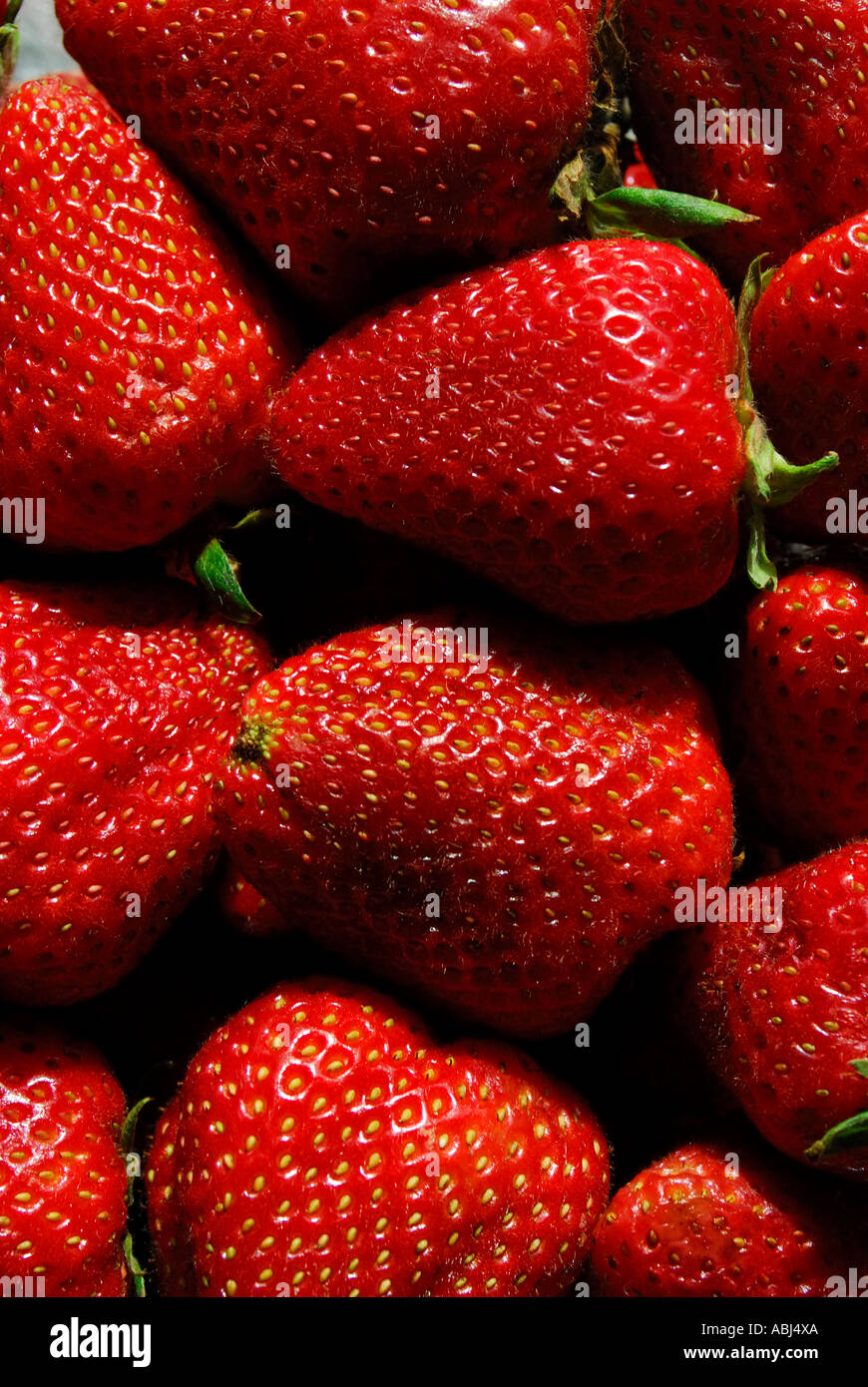 Frische rote Erdbeeren Stockfoto