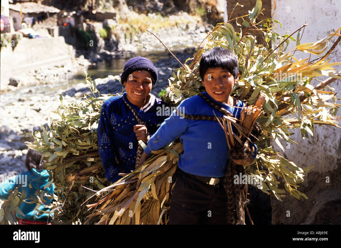 Paucartambo, Peru. Zwei Quechua indischen Jungen tragen große Bündel von belaubten Zweige. Stockfoto