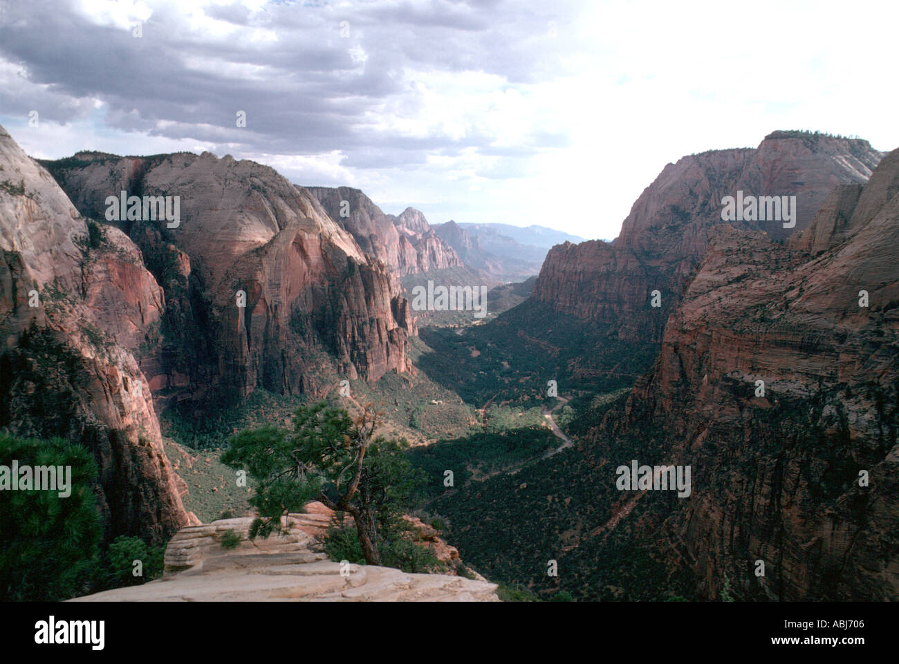 Zion Canyon U S A Stockfoto