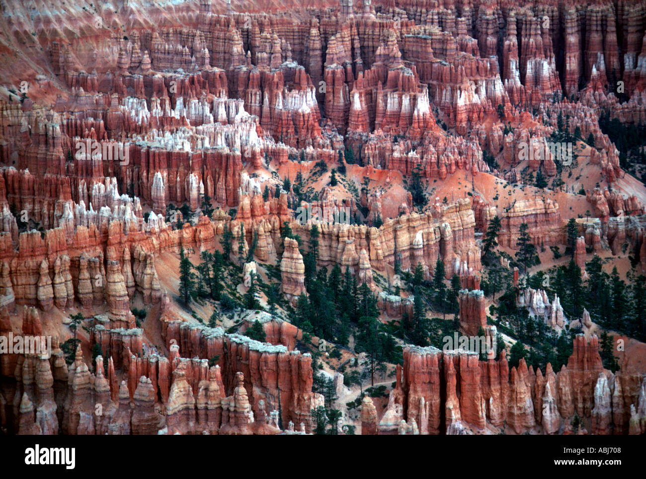 Bryce Canyon U S A Stockfoto