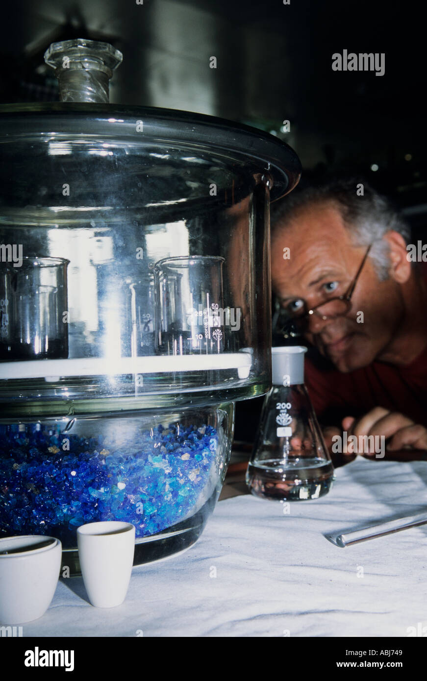 Serbien, Jugoslawien. Wasseraufbereitung; männliche Arbeiter im Labor Fläschchen in ein Glas Exsikkator mit Kobalt-Chlorid Trockenmittel Kristallperlen in der Basis zu betrachten. Stockfoto