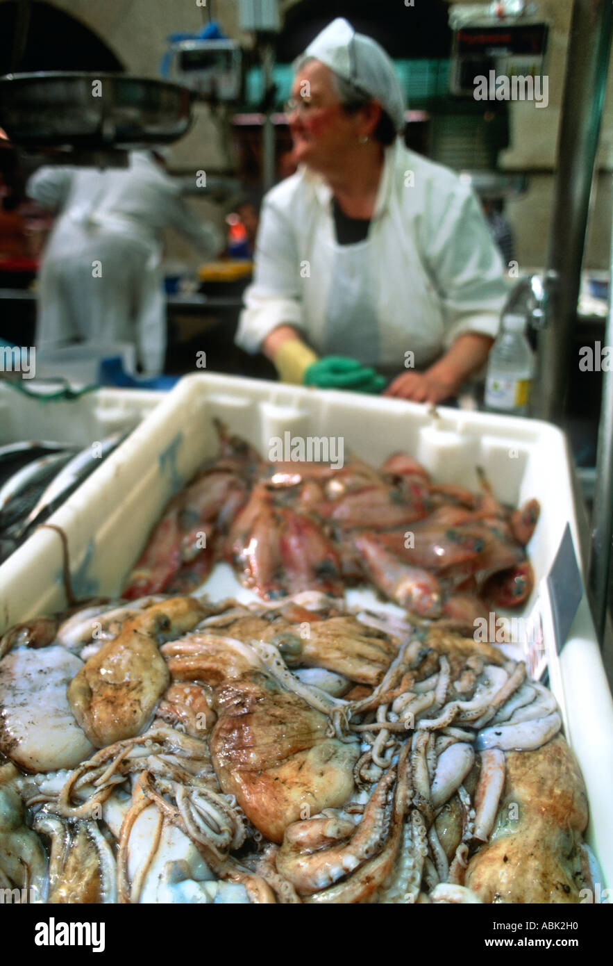 Frische Meeresfrüchte auf dem Fischmarkt von Vigo, Spanien Stockfoto