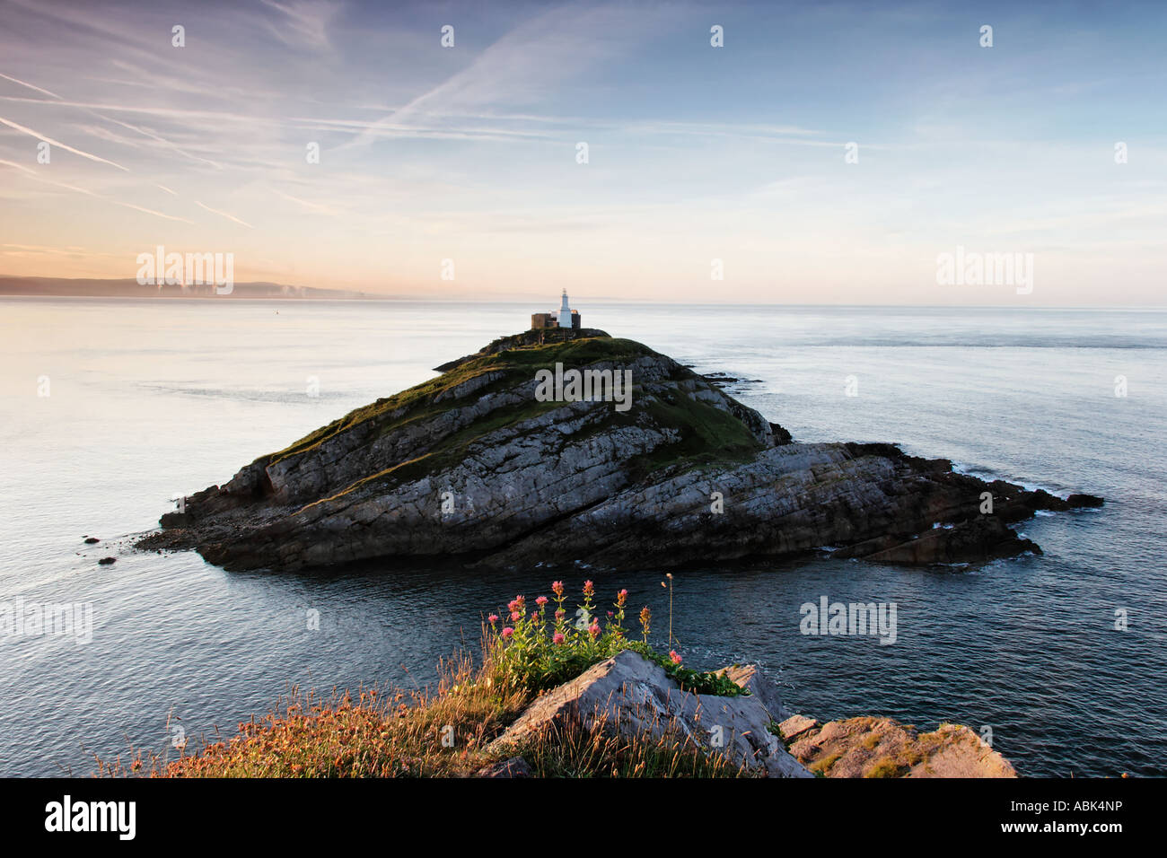 Murmelt, dass Leuchtturm Kopf Gower murmelt Stockfoto