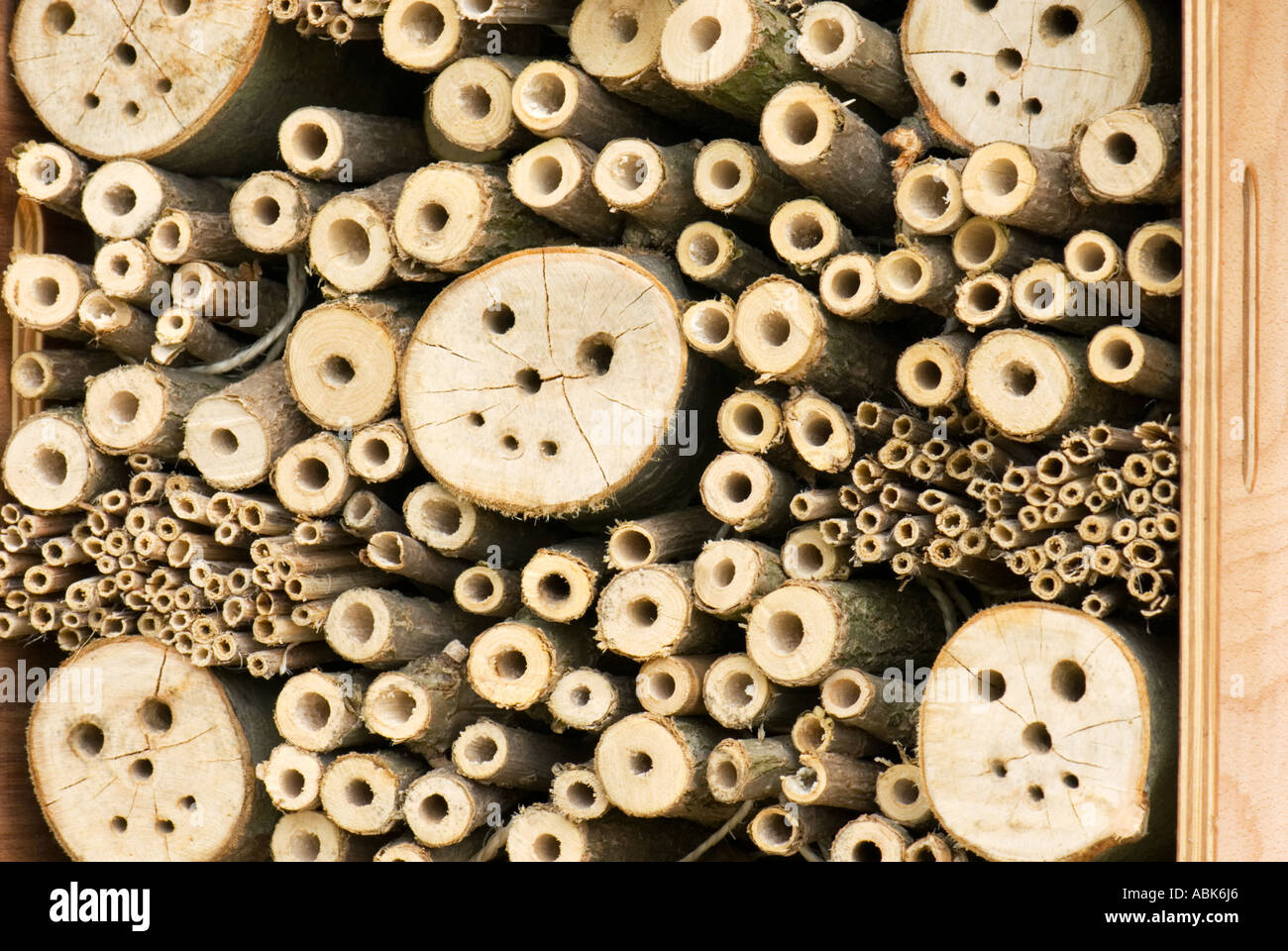 Hilfe für nisten Nest Solitär Solitäre Bienen fliegen Wespen Biene Feld beebox Stockfoto