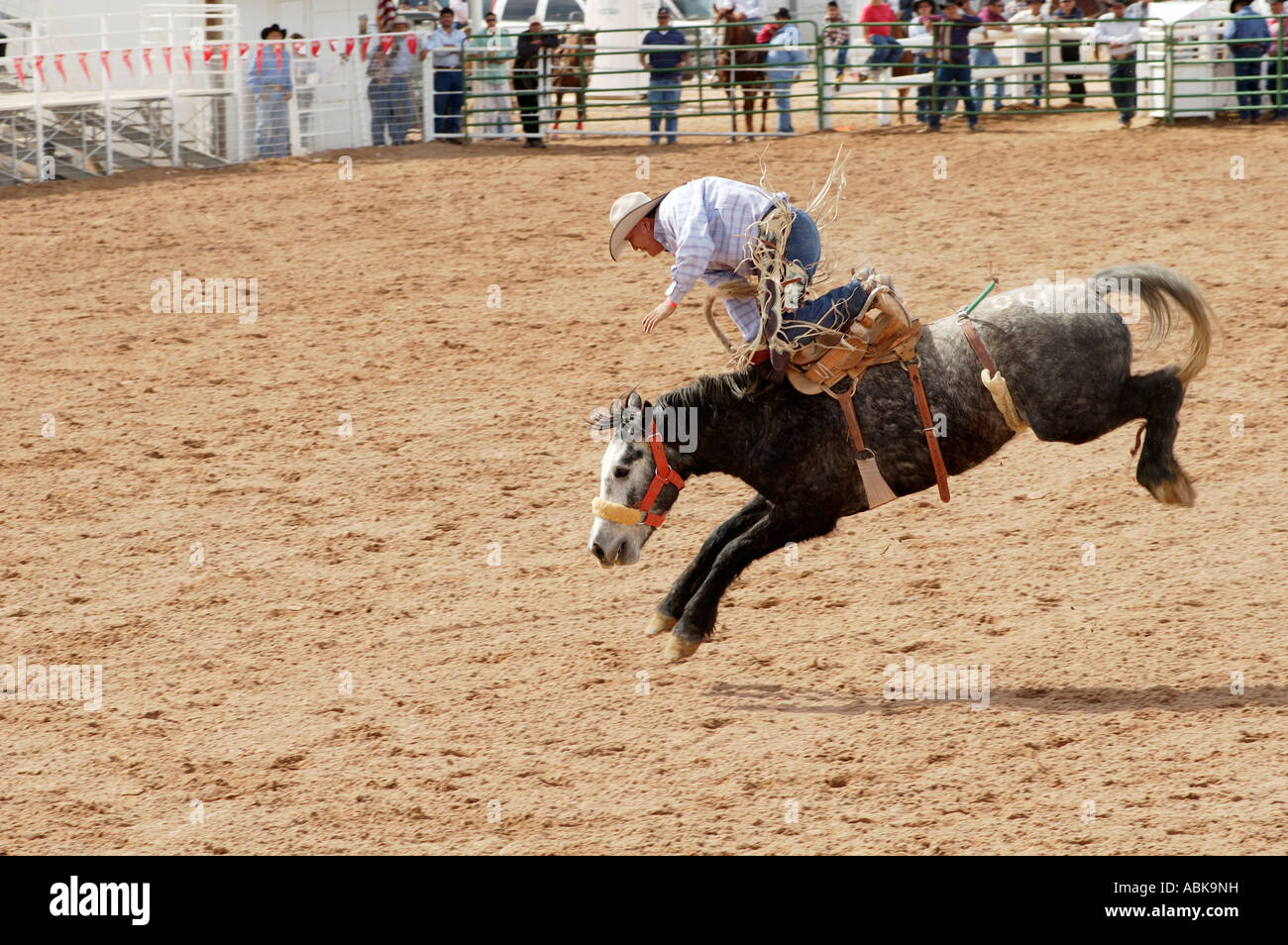Sattel Bronc Reiten Ereignis bei einem All-indischen Rodeo in Arizona Stockfoto
