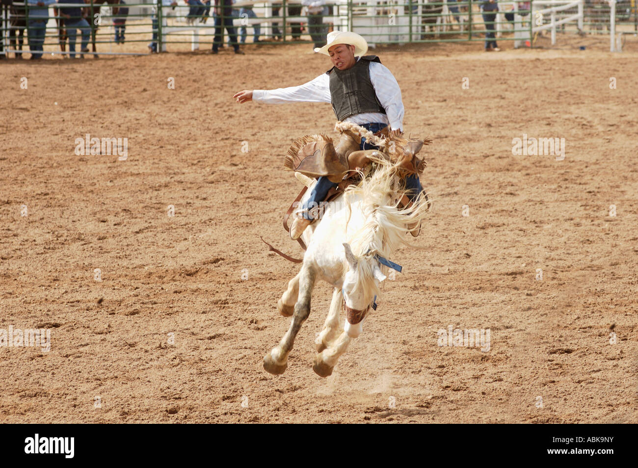 Sattel Bronc Reiten Ereignis bei einem All-indischen Rodeo in Arizona Stockfoto