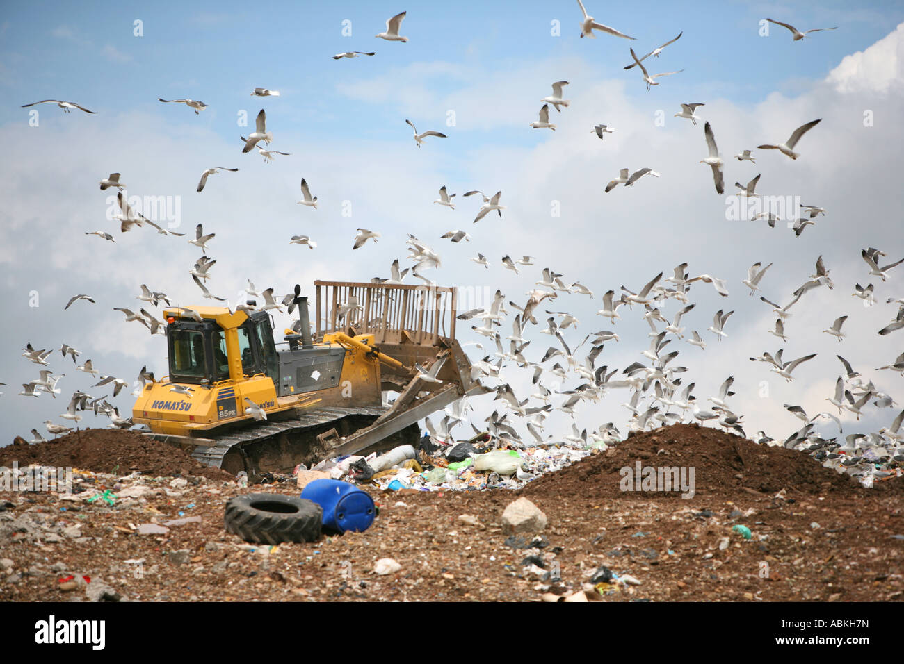Bulldozer auf einer Deponie scheint bei Möwen über dem Abfall und Müll zu stürzen.  Umwelt-Image der Abfallwirtschaft. Stockfoto