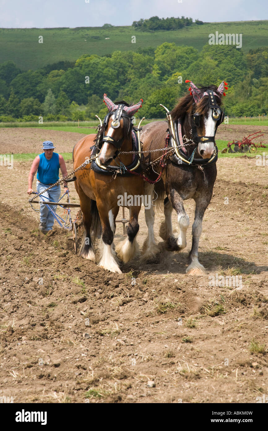 Wiltshire Dampf Oldtimer Rallye 2007 Pflügen Display mit schweren Pferden Stockfoto