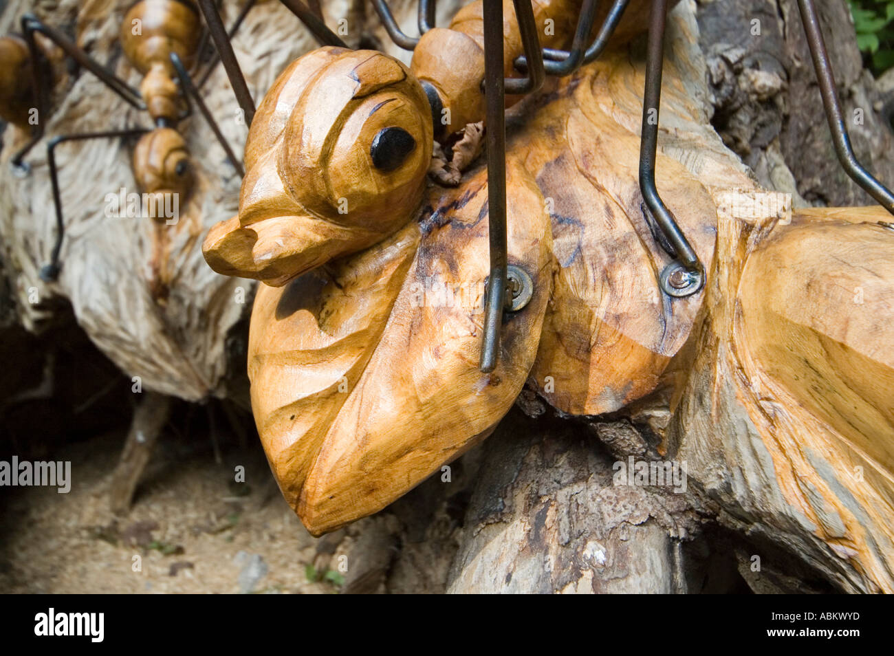 Holz-schnitzen von Riesenameisen auf dem Skulpturenweg im Crich Tramway Village, in der Nähe von Matlock, Derbyshire, England, UK Stockfoto