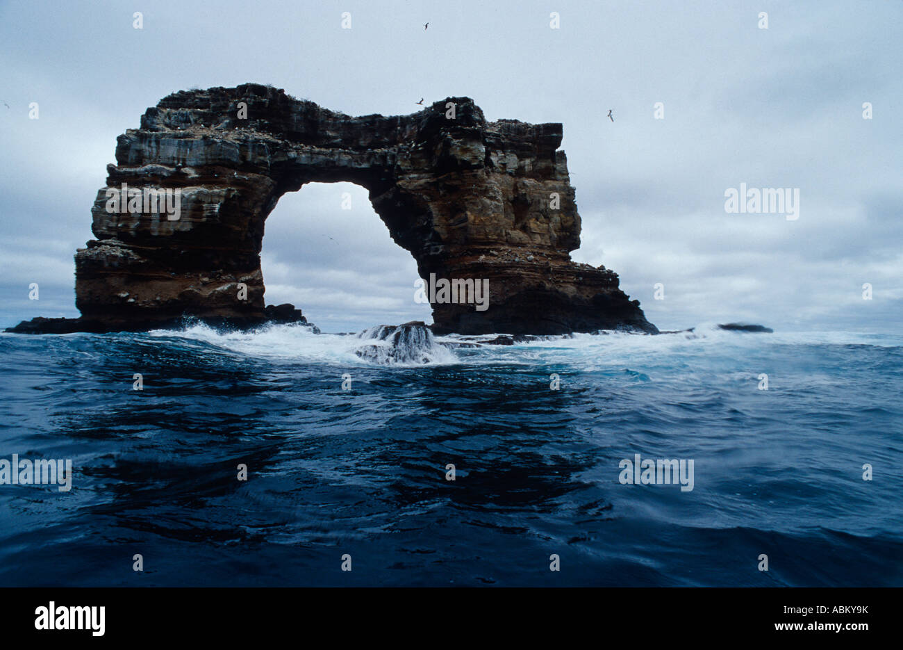 Darwins Bogen Stockfotos Und Bilder Kaufen Alamy