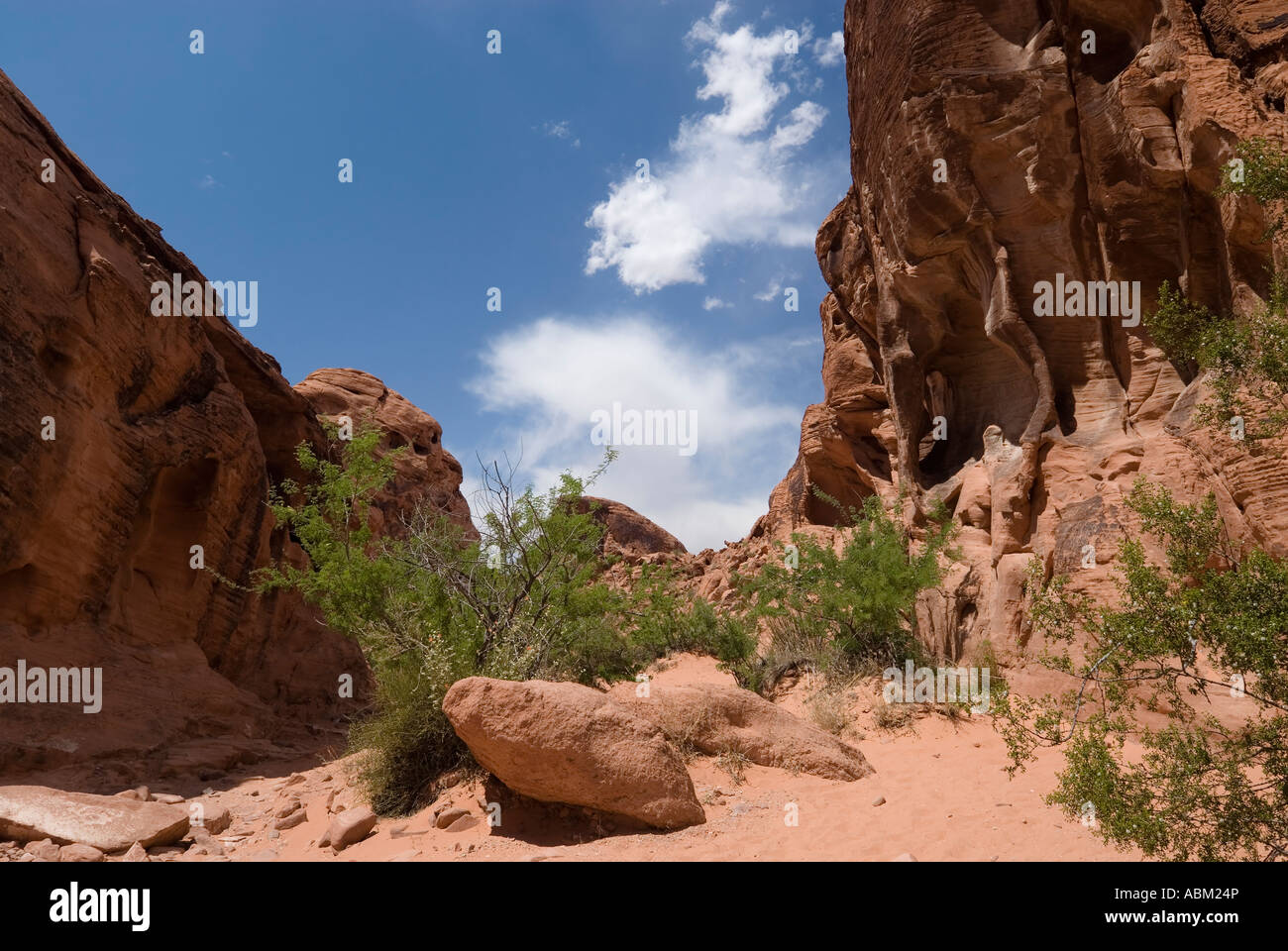 USA-Nevada-Tal des Feuers Staatspark Maus s Tank Petroglyph Canyon Maus s Tank Trail Stockfoto