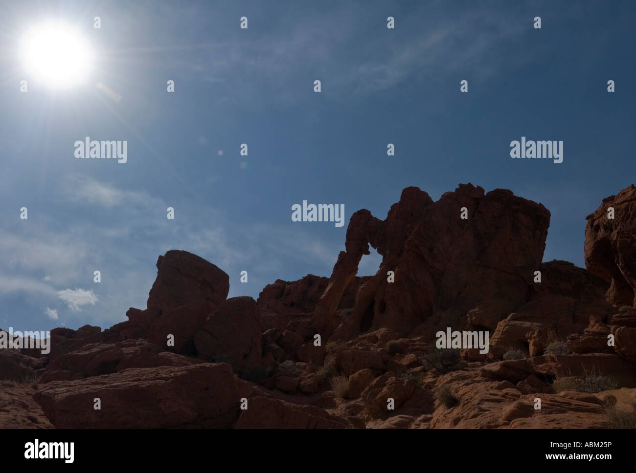 Valley Of Fire State Park. Elephant Rock. Stockfoto