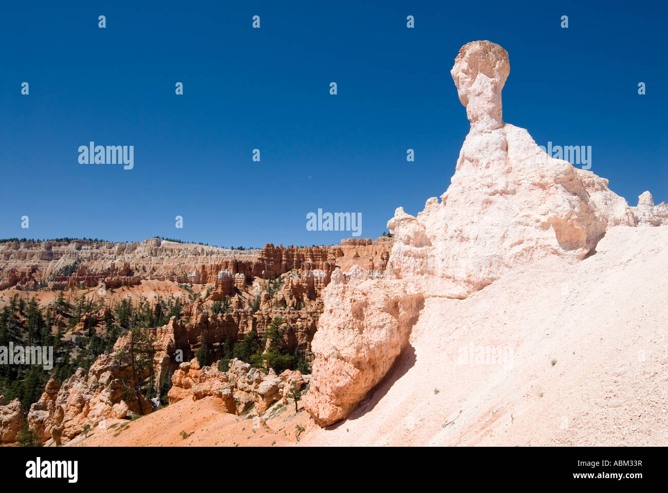 Bryce-Canyon-Nationalpark. Navajo Trail Stockfoto