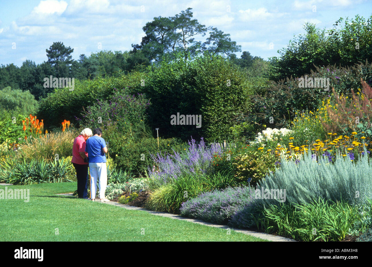 Besucher sehen die gemischte Blumenbeete aus dem Rasen von der Royal Horticultural Society s Schaugärten in Wisley in Surrey UK Stockfoto