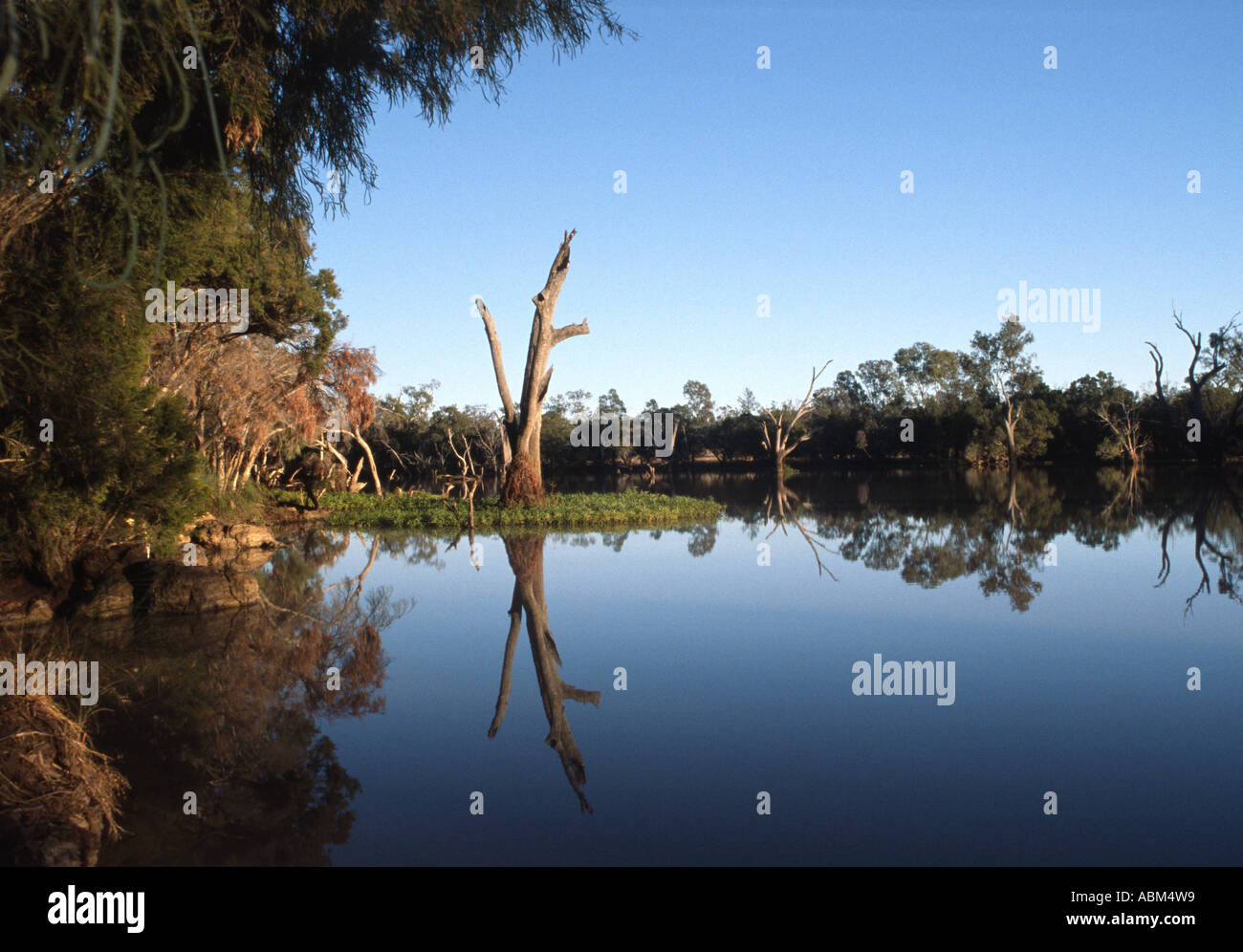 Balonne River in der Nähe der australischen Outback Stadt des Heiligen Georg ist eine malerische Paradies Stockfoto