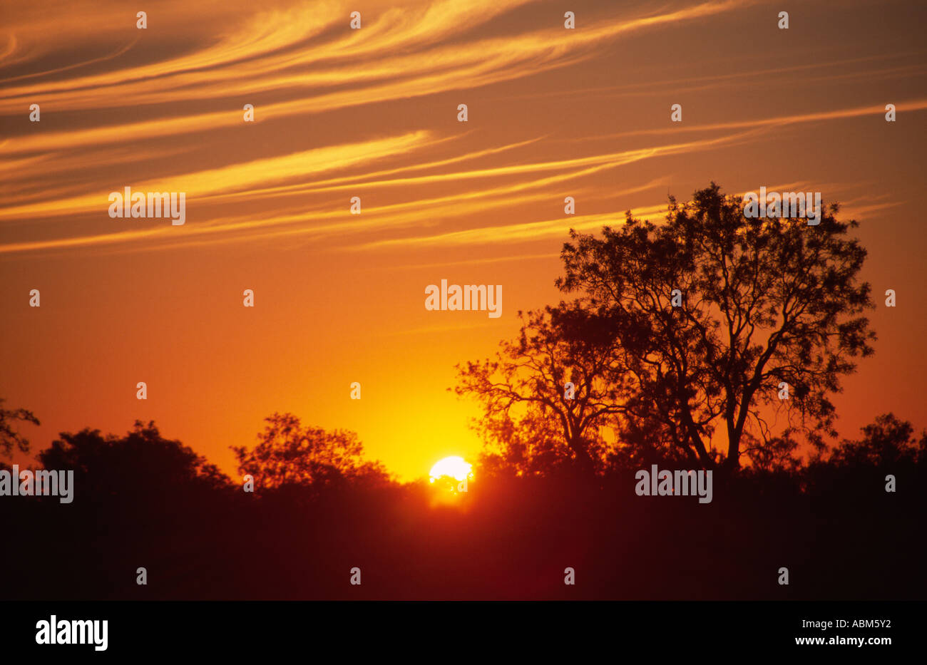Die Sonne verschwindet hinter die spärliche Vegetation in der Nähe der australischen Outback Township von Pilliga Stockfoto