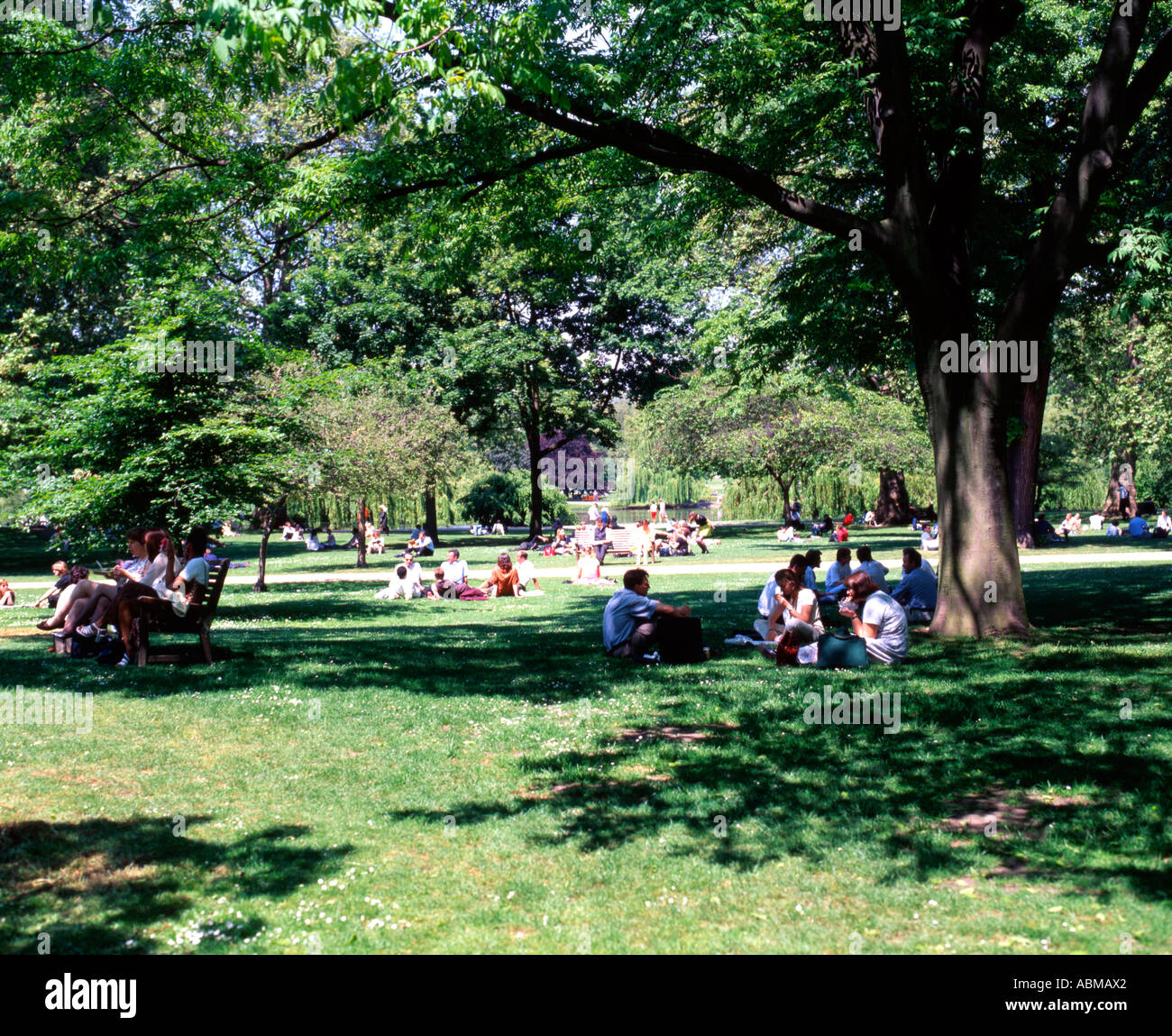 Mittags im Regents Park London mitten im Sommer Stockfoto